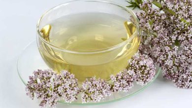Herbal Tea