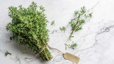 Thyme
